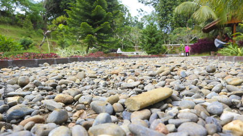 rocky road in the garden photography