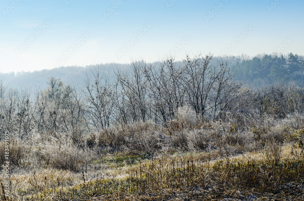 winter landscape in the early morning winter landscape in the early morning