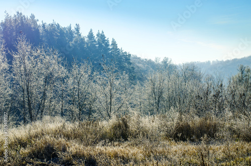 winter landscape in the early morning