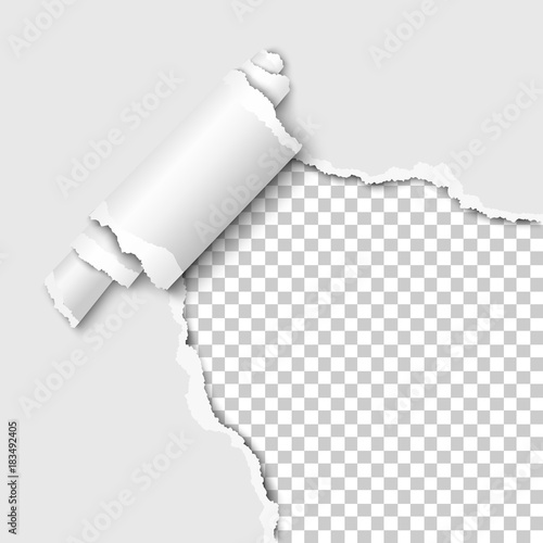 Torn lower right corner of the white sheet of paper with paper curl. Transparent background of the resulting hole. Vector illustration.