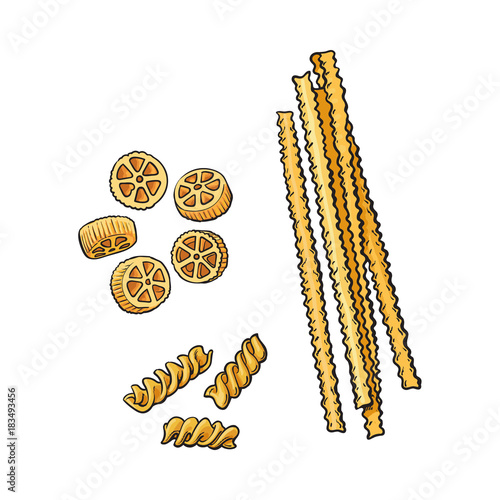 vector sketch hand drawn italian pasta types set. Rotelle, fusilli and rigatoni. Food elements for restaurant, cafe menu design. Isolated illustration on a white background.