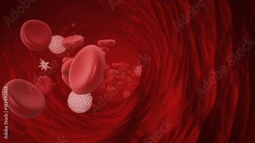 Blood cells traveling in vein, including white cells and platelets