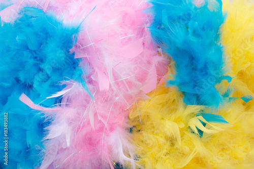 Colourful feather boa background  blue  pink and yellow