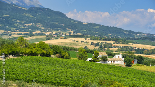 Landscape near Loreto Aprutino (Abruzzi) at summer