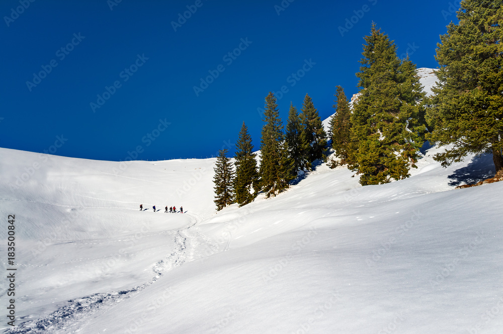 Gruppo di escursionisti sulla neve