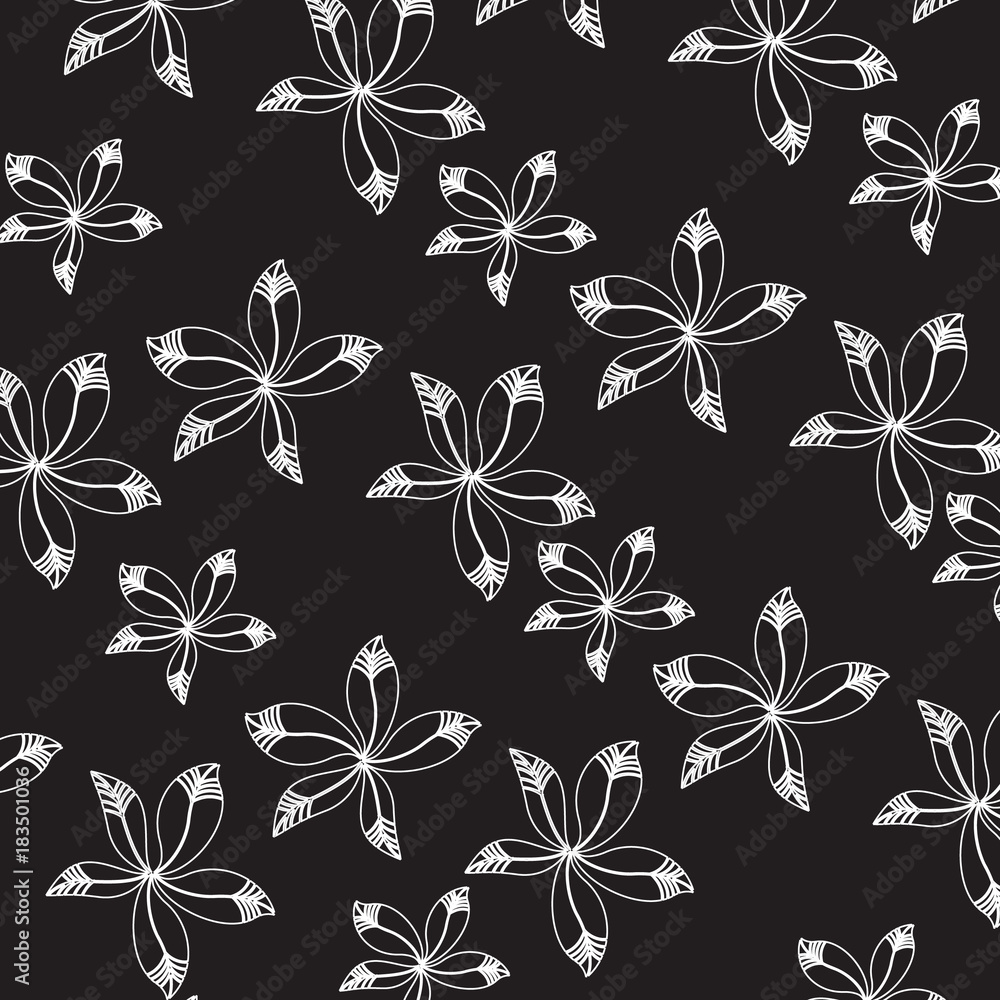 lace pattern lace pattern