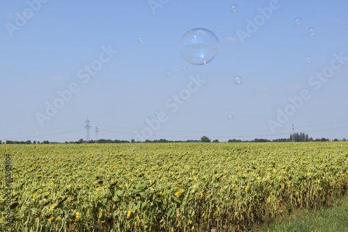 Seifenblase