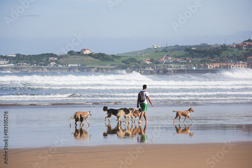 Chico paseando por la orilla de la playa con sus perros