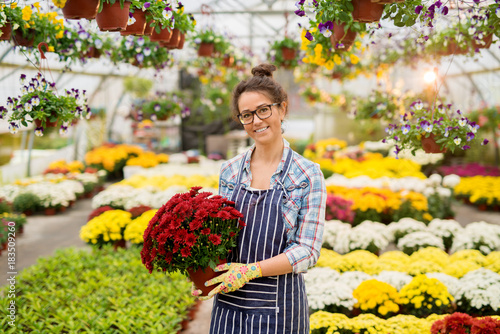 Portrait of middle age professional attractive florist woman standing in the large greenhouse with a flowerpot with red flowers and looking at the camera.