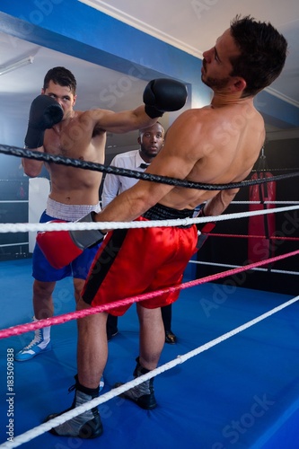 Young boxer punching male competitor © WavebreakMediaMicro