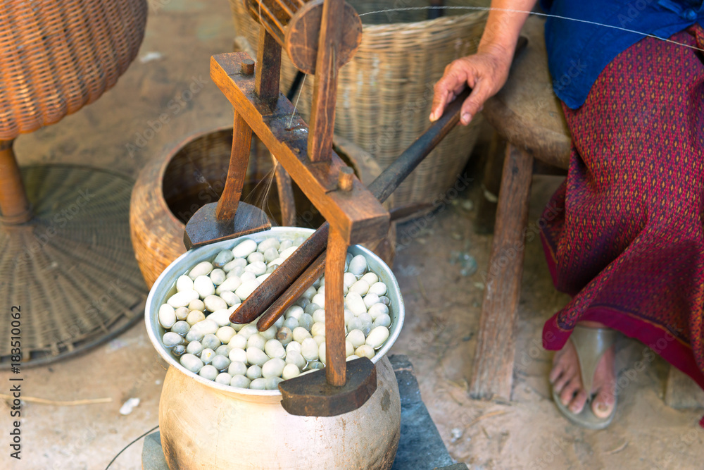 Silk Production Process, Silkworm from egg to worm Silk Production Process, Silkworm from egg to worm