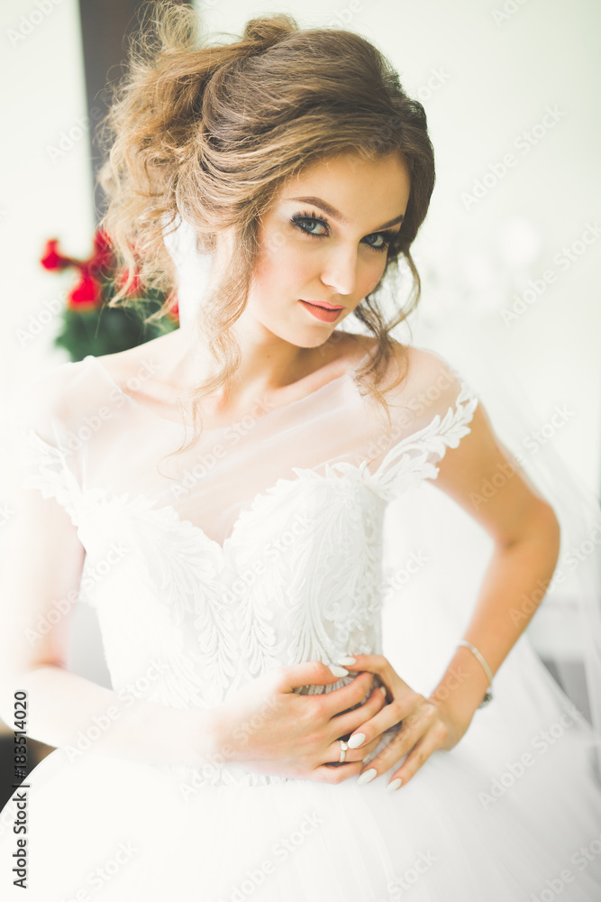 Portrait of beautiful bride with fashion veil at wedding morning Portrait of beautiful bride with fashion veil at wedding morning