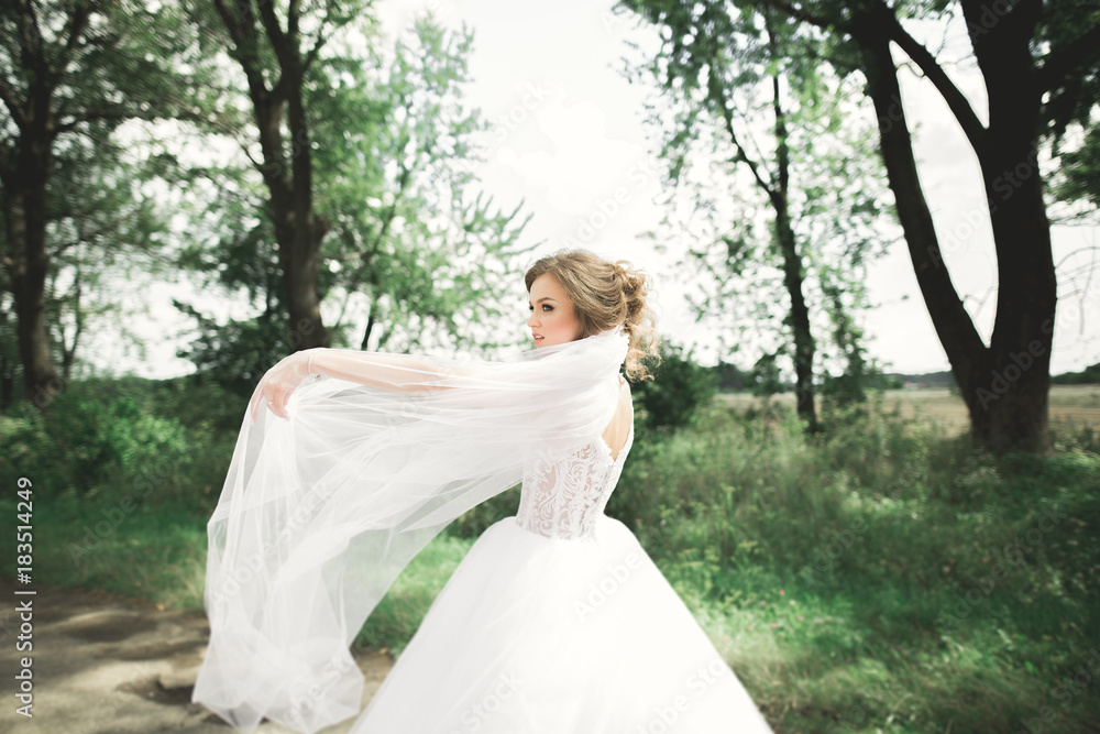 Beautiful bride posing in wedding dress outdoors Beautiful bride posing in wedding dress outdoors