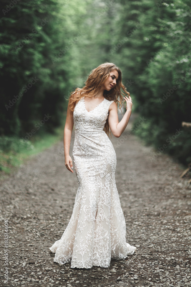 Beautiful luxury bride in elegant white dress Beautiful luxury bride in elegant white dress