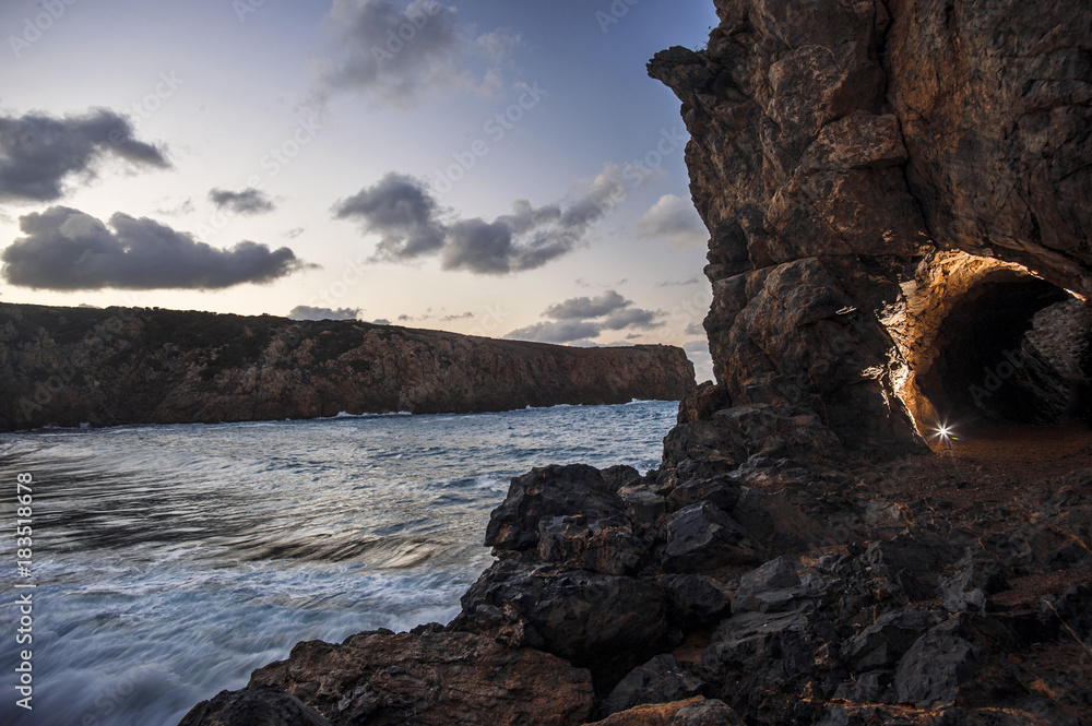 Fototapeta premium cala domestica