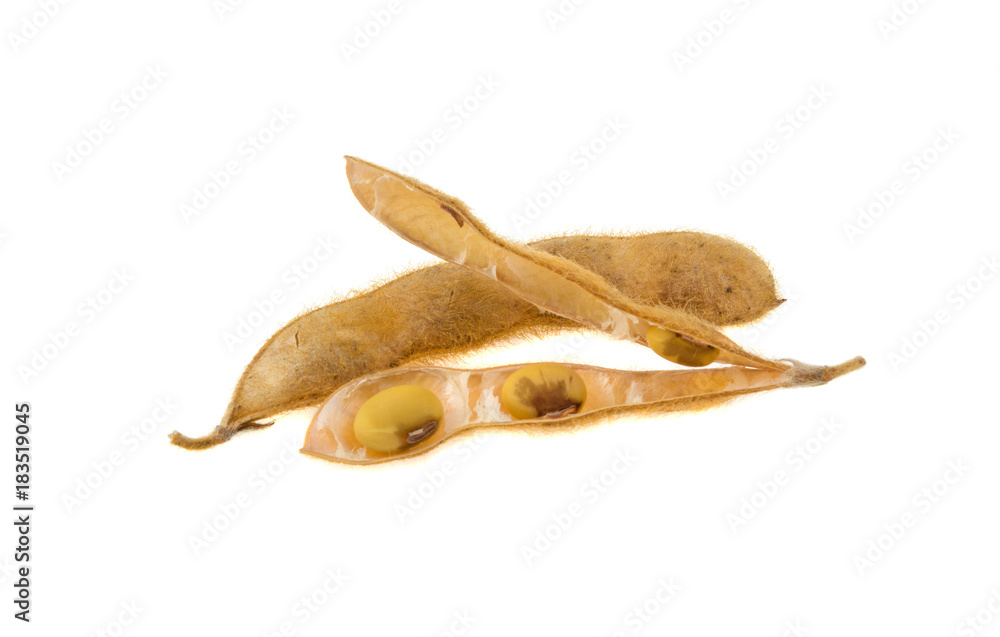 Fototapeta premium pods of soya isolated on white background
