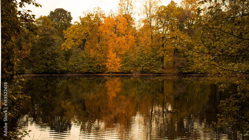 Autumn park Autumn park