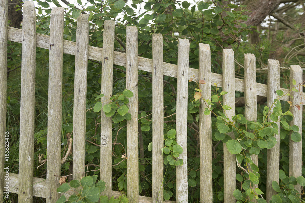 Alter Holzlattenzaun an einem Bauerngarten. Alter Holzlattenzaun an einem Bauerngarten.