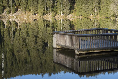 Am Mummelsee im Schwarzwald photo