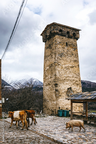 Historical defensive towers of Mestia - townlet in the highlands of Upper Svaneti province in the Caucasus Mountains. photo