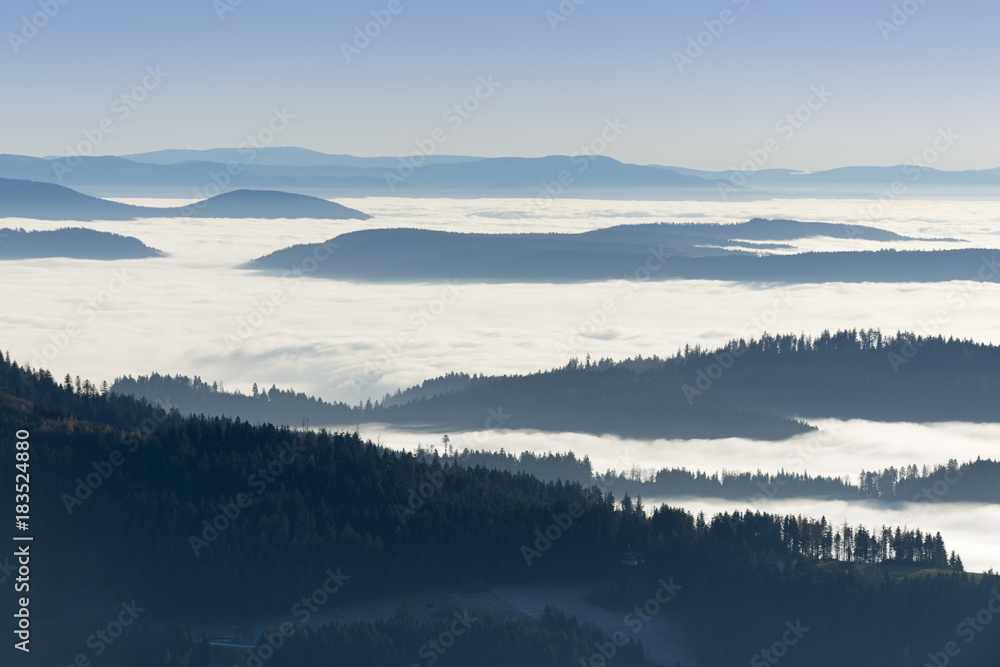 Fernsicht von der Hornisgrinde im Schwarzwald.
