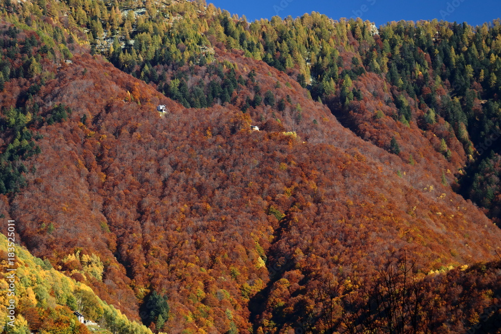 Autumn in Ticino