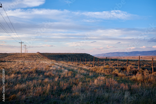 Farm fence running alongside electricity poles