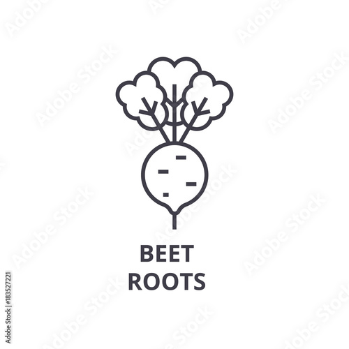 beet, roots line icon, outline sign, linear symbol, flat vector illustration
