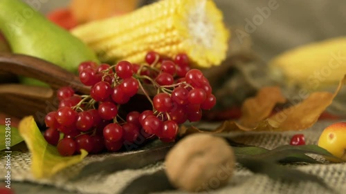 Autumn vegetables, berries and fruits. Seasonal autumn food - pumpkins, corn, apples, pear, viburnum, physalis. Slow motion. three perspectives.