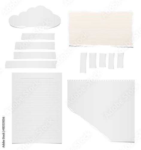 Ripped blank lined and blank note, notebook, adhesive, masking tape paper for text or message stuck on white background