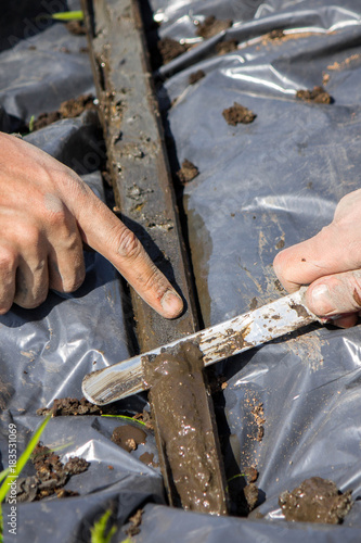 Core filled with Peat