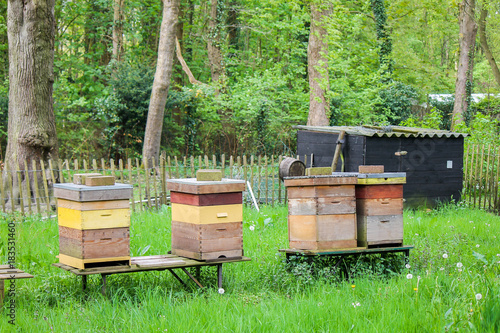 Beehives near a kitchen garden