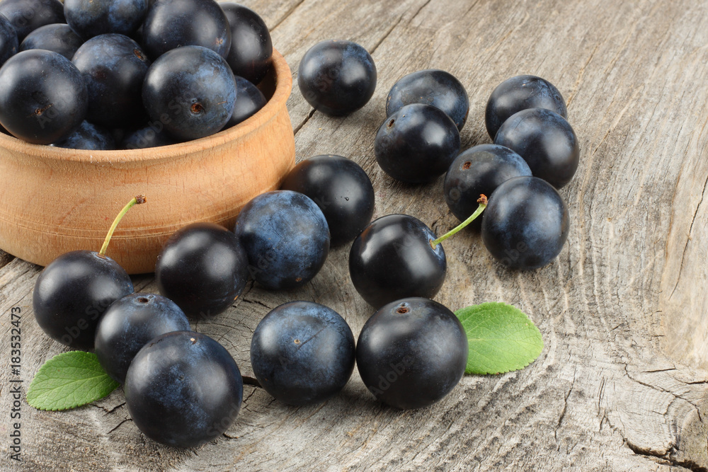 blackthorn berries with green leaf on old wooden table blackthorn berries with green leaf on old wooden table