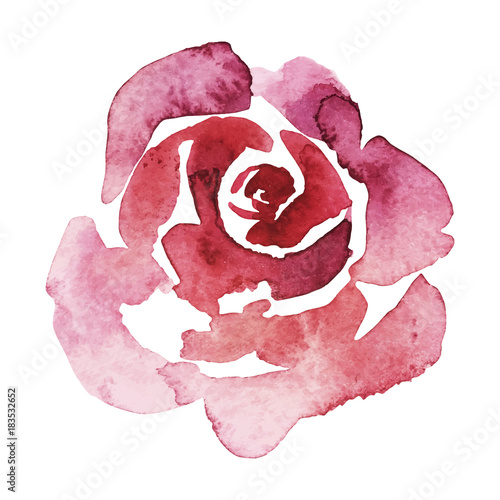 Fototapeta Naklejka Na Ścianę i Meble -  vector pink rose watercolor hand-painted, isolated on white, valentine
