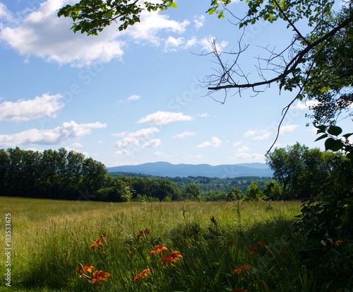 Summer View, Vermont photo
