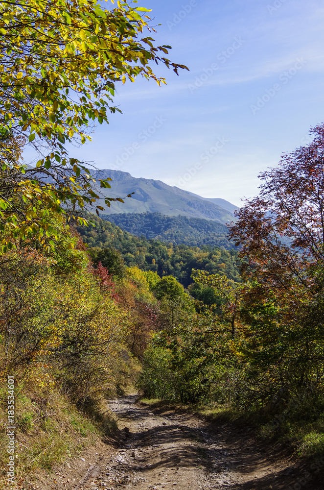 Dirt road thru Dilijan National Park, Armenia