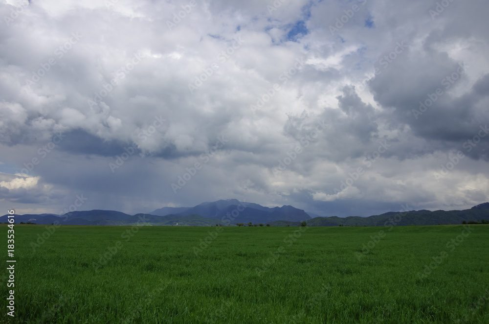 Green meadow with Fagaras mountains range at background, cloudy sky. Carpathians, Romania, Europe