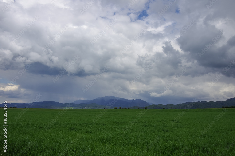 Green meadow with Fagaras mountains range at background, cloudy sky. Carpathians, Romania, Europe Green meadow with Fagaras mountains range at background, cloudy sky. Carpathians, Romania, Europe