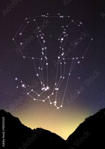 Elephant constellation vector illustration. Elephant in constellations and star on mountain forest landscape. Starry elephant in deep dark sky with line and shiny dots