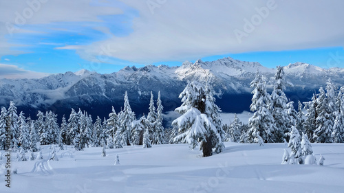 Canadian winter landscape with trees and mountains covered with snow and frost. Rain forest in mountains near Whistler Village, Squamish and Vancouver. British Columbia. Canada.