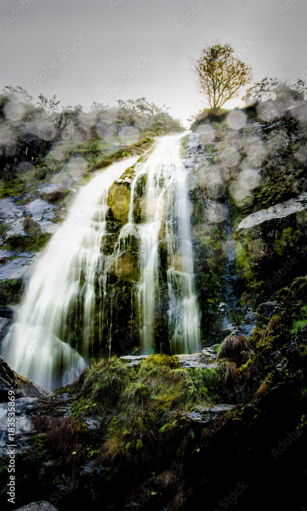 Fototapeta premium Cascada 