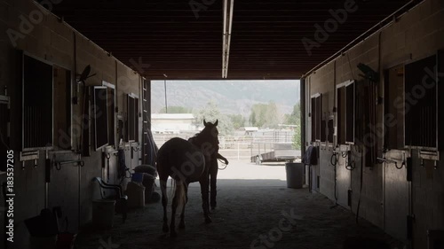 Wide slow motion shot of girl leading horse from stable / Lehi, Utah, United States photo