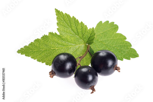 Big ripe blackcurrant berries with leaves, isolated on white. Close-up