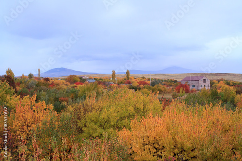 Panoramic view of bright yellow colored autumn trees in Armenian village