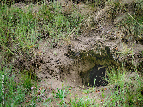 Εκτύπωση καμβά Some unknown animal burrow or home underground on a hillside covered with grass