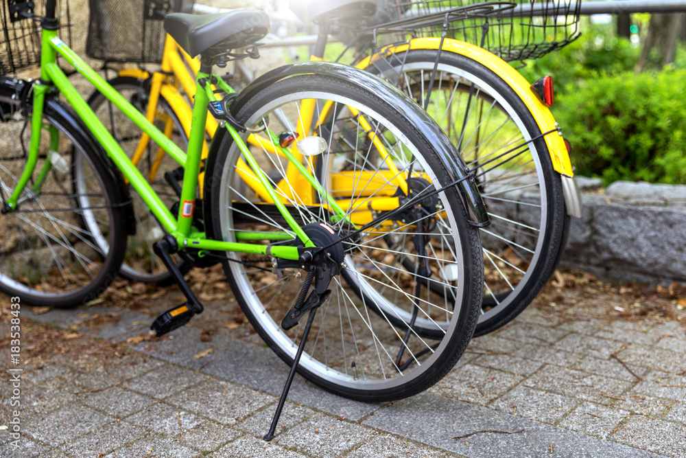 Row of parked bicycles on sidewalk in public park