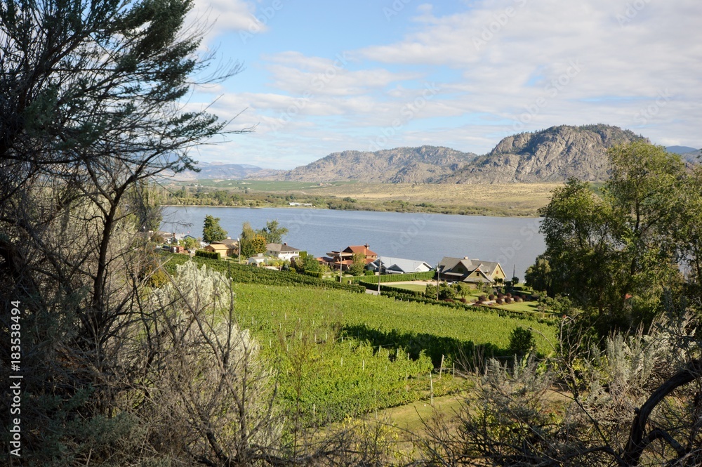 Fototapeta premium Okanagan BC vista
