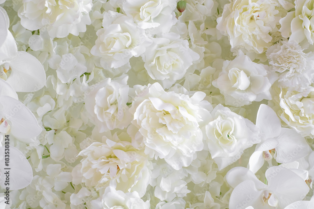 White flower background White flower background