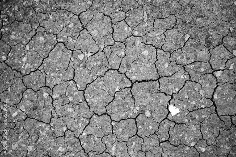 Cracks on the Earth 8 Cracks on the Earth 8