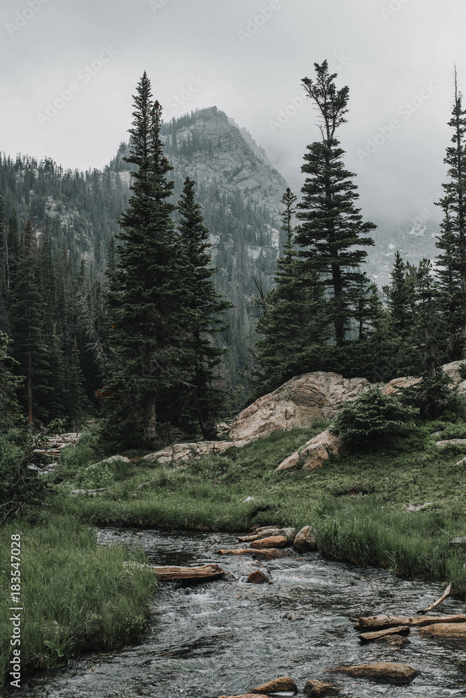 Scenic view of stream on field against trees and mountains